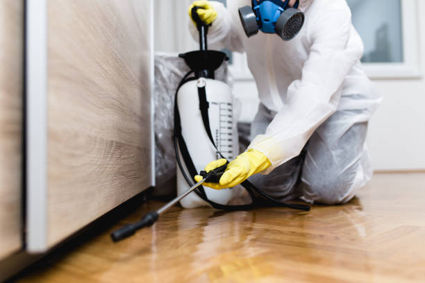 Pest Control Cost in Hayfield, VA