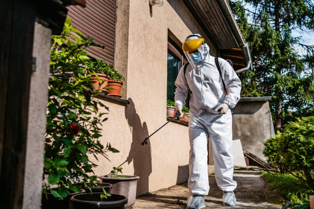Best Affordable Pest Control Services  in Hayfield, VA