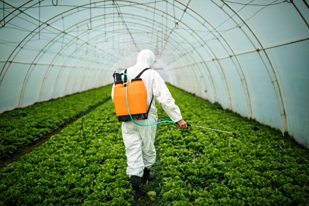 Best Affordable Pest Control Services  in Hayfield, VA
