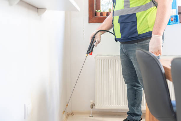 Best Pest Inspection Near Me  in Hayfield, VA